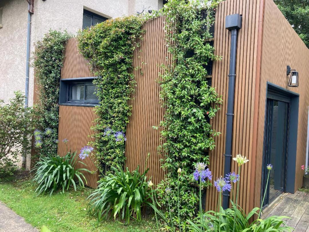 Apartamento Joli 2 Pieces Esprit Loft Moderne Pau Exterior foto